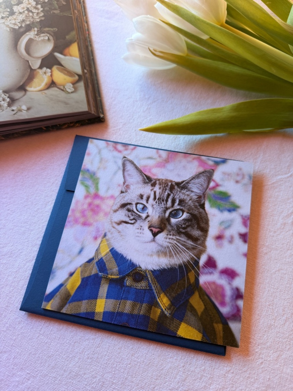 Cat Greeting Card Featuring Blue-Eyed Cat in Yellow & Blue Plaid Shirt